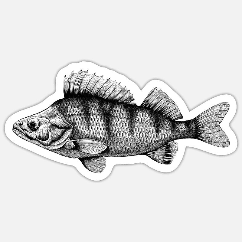 Barsch Sticker Größe S (10 x 10 cm)