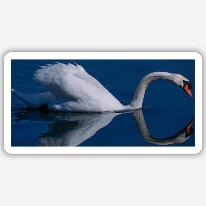 WhiteSwan - Sticker Größe S (10 x 10 cm) - Mattweiß