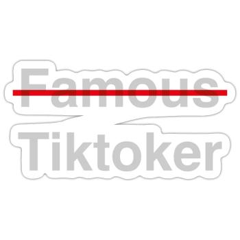 berühmter Tiktoker - Sticker Größe S (10 x 10 cm) - Mattweiß - Vorne