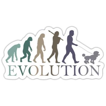 EVOLUTION PUDEL - Sticker Größe S (10 x 10 cm) - Mattweiß - Vorne
