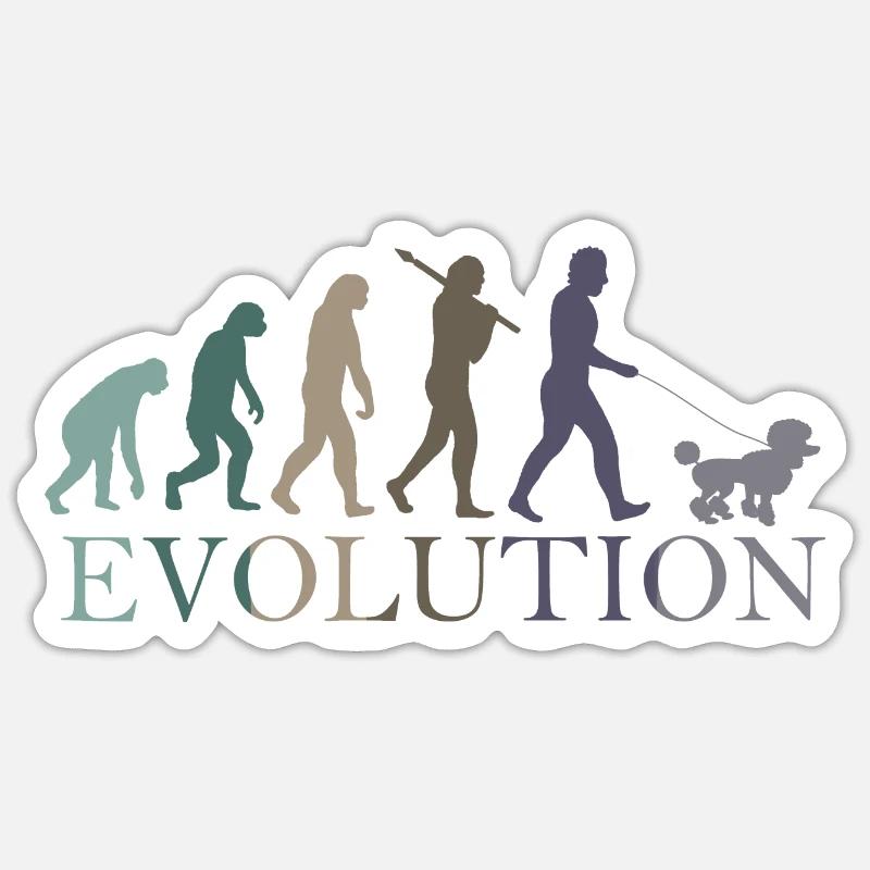 CANICHE ÉVOLUTION - Sticker taille S (10 x 10 cm) - blanc mat