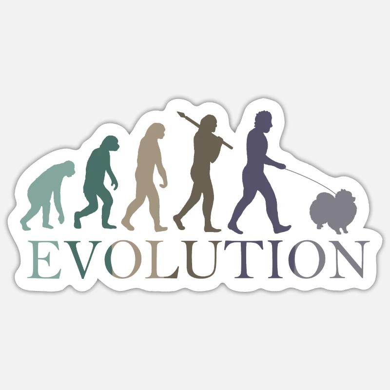 EVOLUTION POMERANIAN - Sticker size S (10 x 10 cm) - white matte