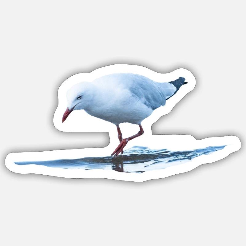 Seagull Sticker size S (10 x 10 cm)