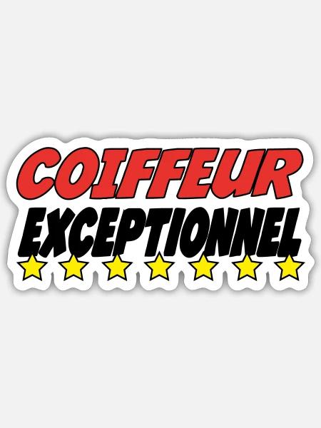 - Sticker taille S (10 x 10 cm) - blanc mat