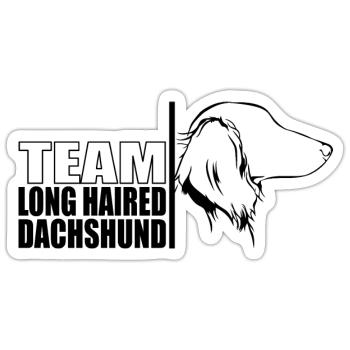 TEAM Teckel à poil long Chiens Teckel Wilsigns - Sticker taille S (10 x 10 cm) - blanc mat - Devant