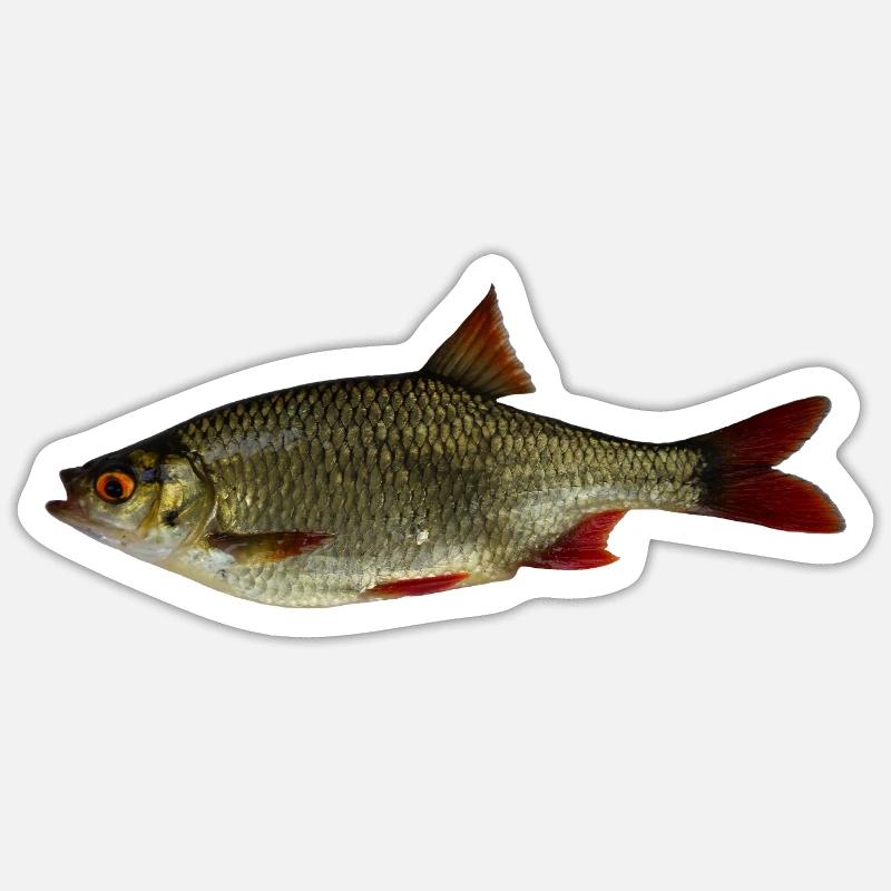 Rotfeder - Sticker Größe S (10 x 10 cm) - Mattweiß