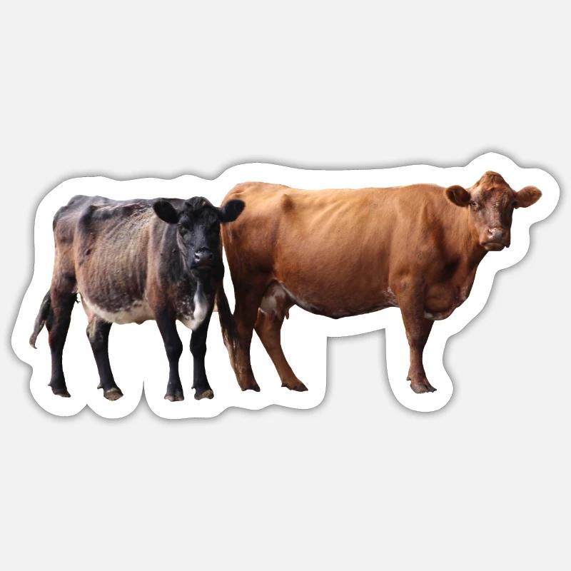 Deux vaches - Sticker taille S (10 x 10 cm) - blanc mat