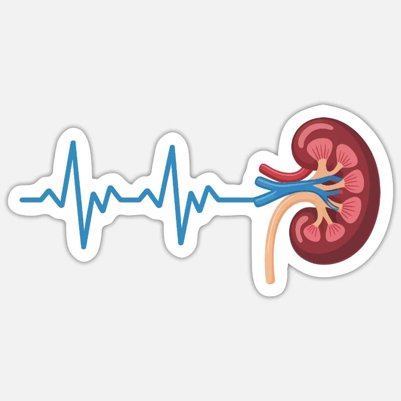Kidney Rhythm Graph - Sticker size S (10 x 10 cm) - white matte