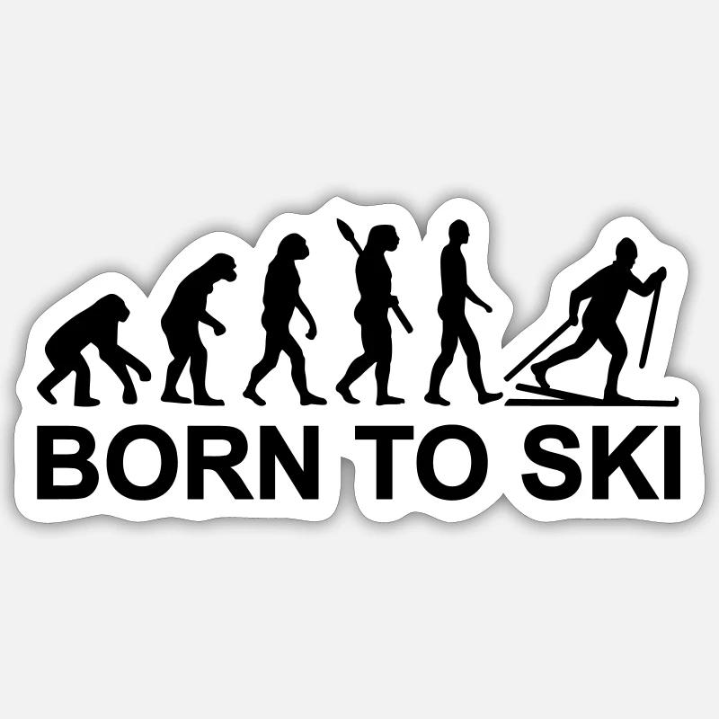 Evolution Skilanglauf Sticker Größe S (10 x 10 cm)