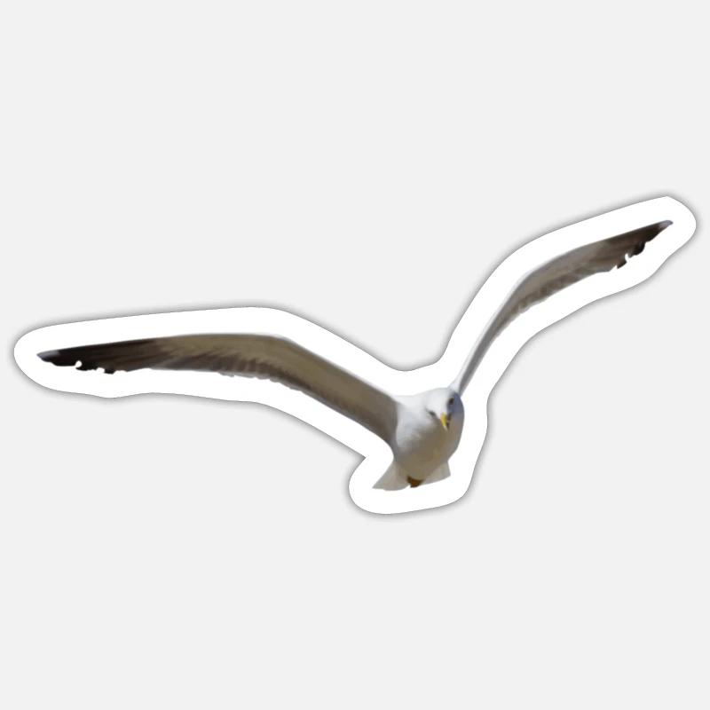 Seagulls fly for hours - Sticker size S (10 x 10 cm) - white matte