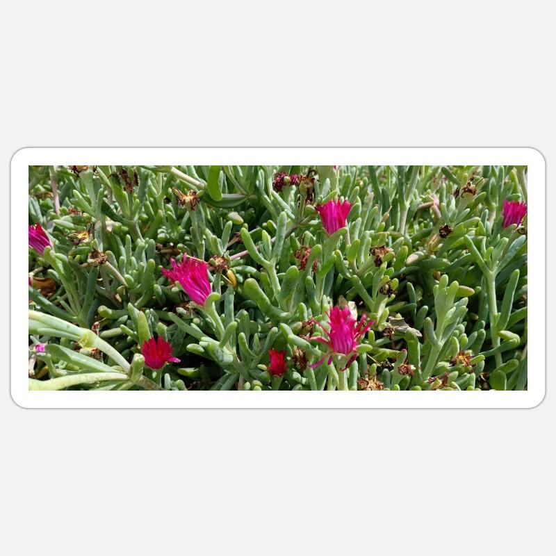 Flore gorgeuse canarienne Sticker taille S (10 x 10 cm)