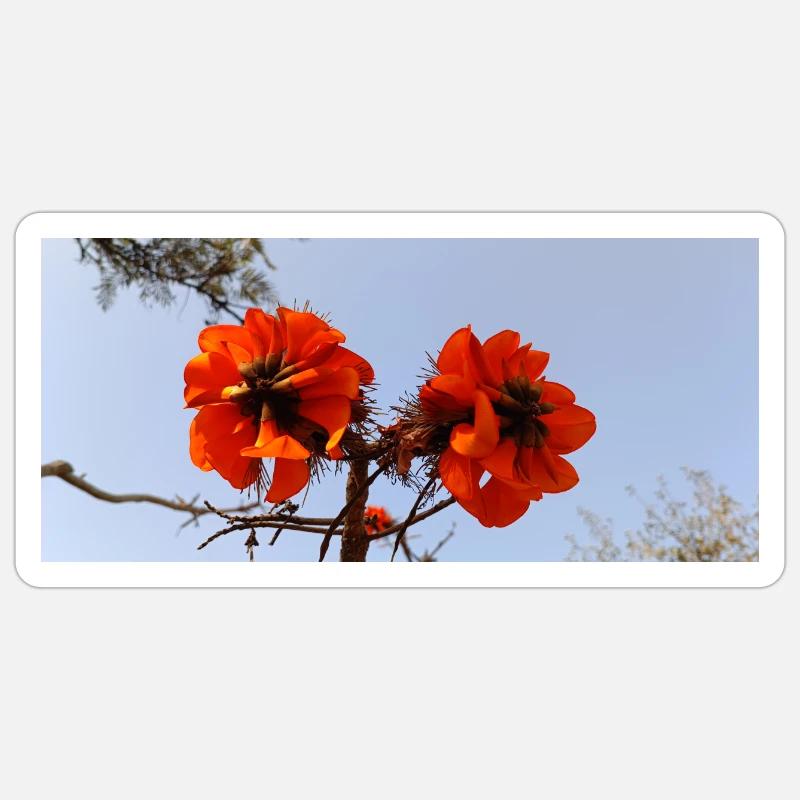 Fleurs canariennes - Sticker taille S (10 x 10 cm) - blanc mat