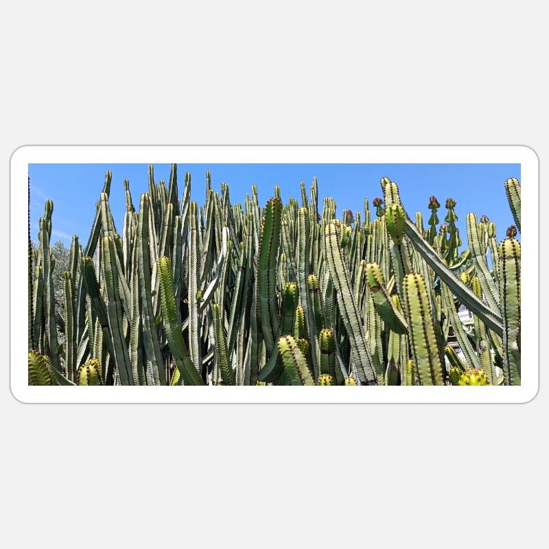 Cactus canarien Sticker taille S (10 x 10 cm)