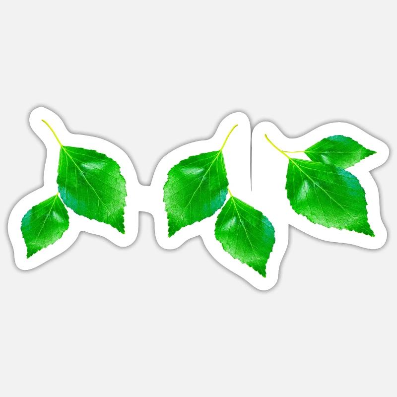 BIRCH || - Sticker size S (10 x 10 cm) - white matte