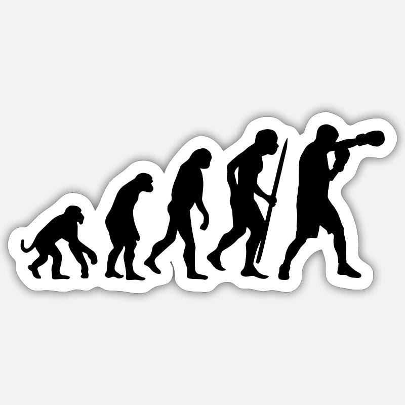 Evolution of Boxing - Sticker size S (10 x 10 cm) - white matte