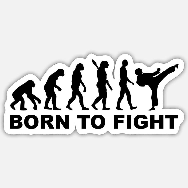 Evolution Karate - Sticker taille S (10 x 10 cm) - blanc mat