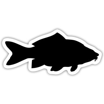 Karpfen - Fisch - Fish - Sticker Größe S (10 x 10 cm) - Mattweiß - Vorne