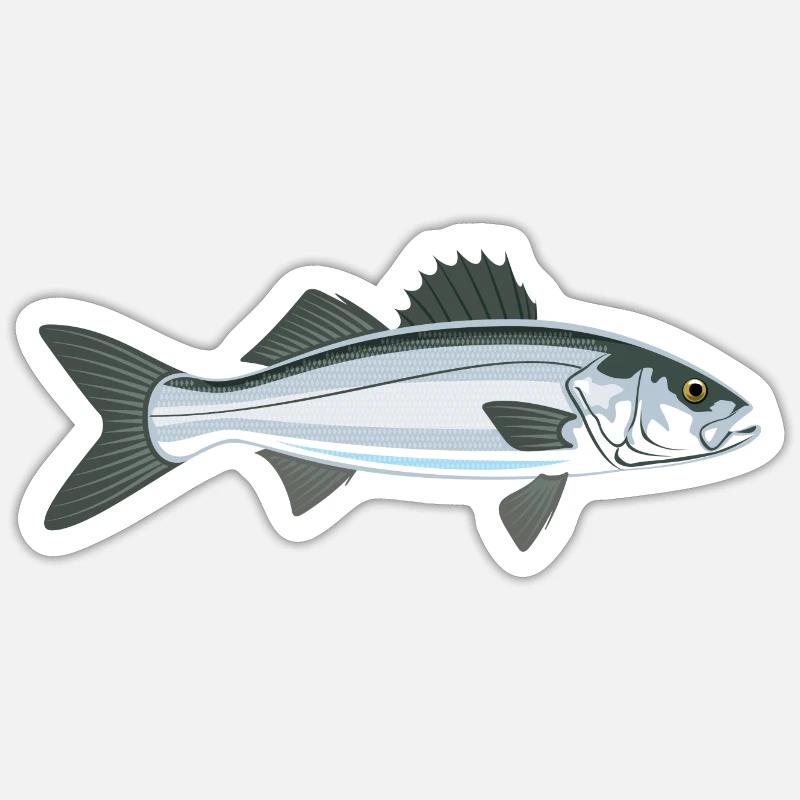 Seebarsch - Sticker Größe S (10 x 10 cm) - Mattweiß