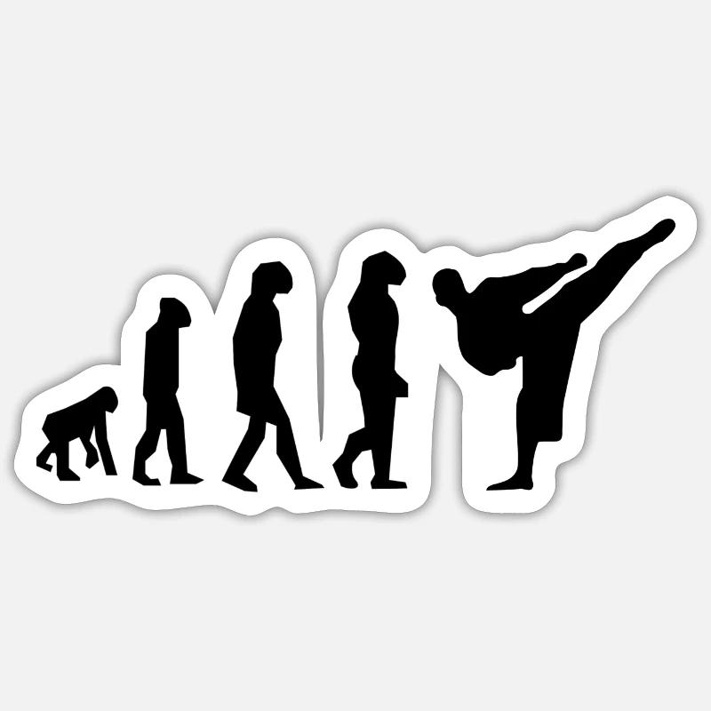 Karate Evolution - Sticker Größe S (10 x 10 cm) - Mattweiß