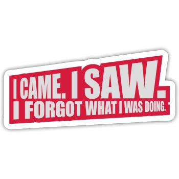 I came saw forget - Sticker size S (10 x 10 cm) - white matte - Front