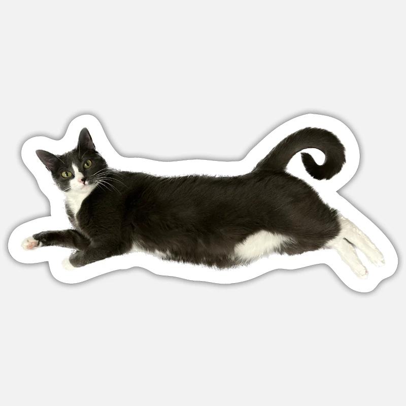Chat gris blanc Sticker taille S (10 x 10 cm)