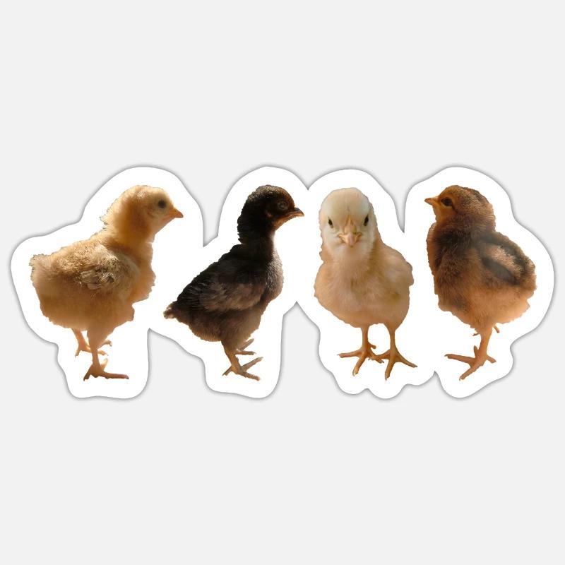 Chick - Sticker size S (10 x 10 cm) - white matte