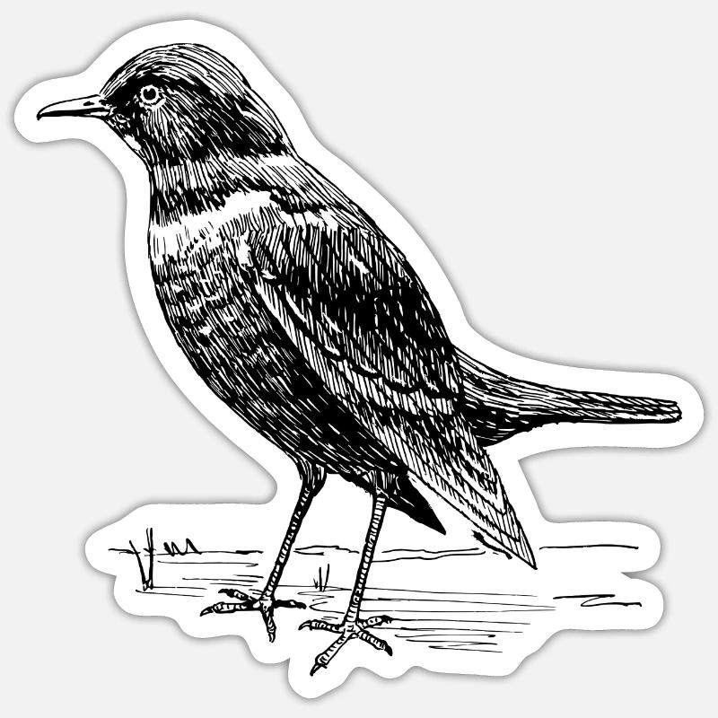 Amsel Sticker Größe S (10 x 10 cm)