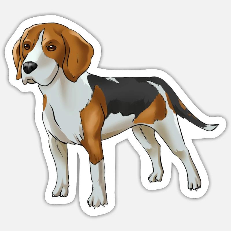 chien Beagle - Sticker taille S (10 x 10 cm) - blanc mat