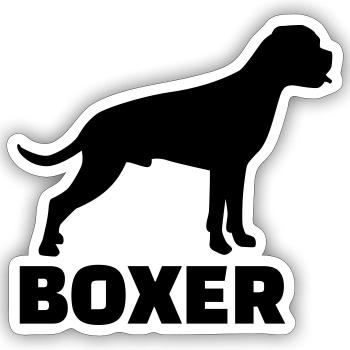 Boxer - Sticker size S (10 x 10 cm) - white matte - Front