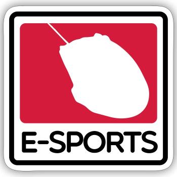 e-sports - Sticker size S (10 x 10 cm) - white matte - Front