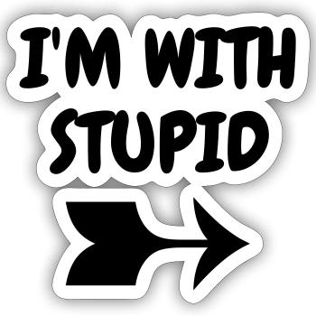 I'm with stupid - Humor - Funny - Joke - Friend - Sticker taille S (10 x 10 cm) - blanc mat - Devant