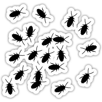 Kakerlake - Sticker Größe S (10 x 10 cm) - Mattweiß - Vorne