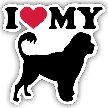 Portuguese Water Dog - Sticker size S (10 x 10 cm) - white matte - Front
