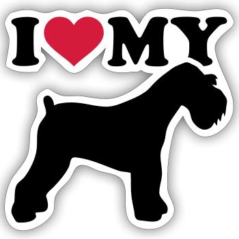 Zwergschnauzer - Sticker Größe S (10 x 10 cm) - Mattweiß - Vorne