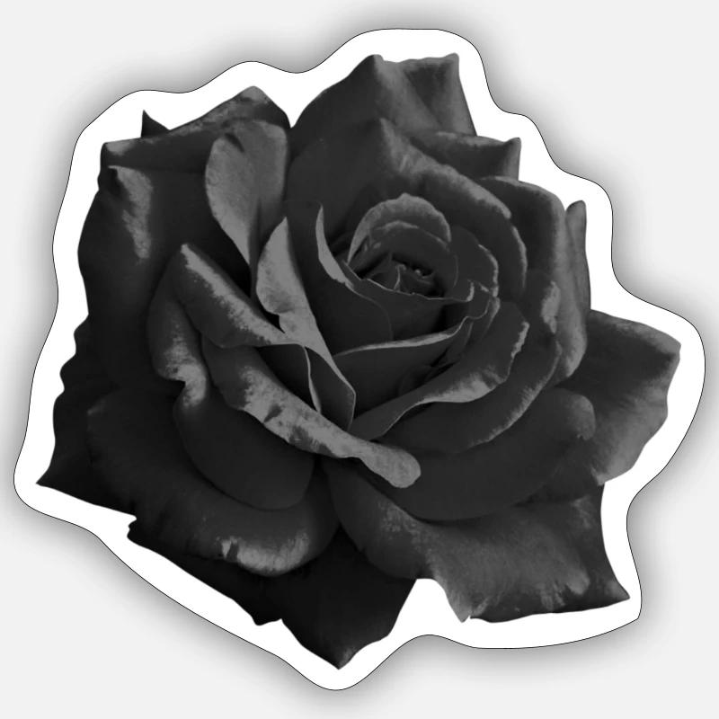Rose noire - Sticker taille S (10 x 10 cm) - blanc mat