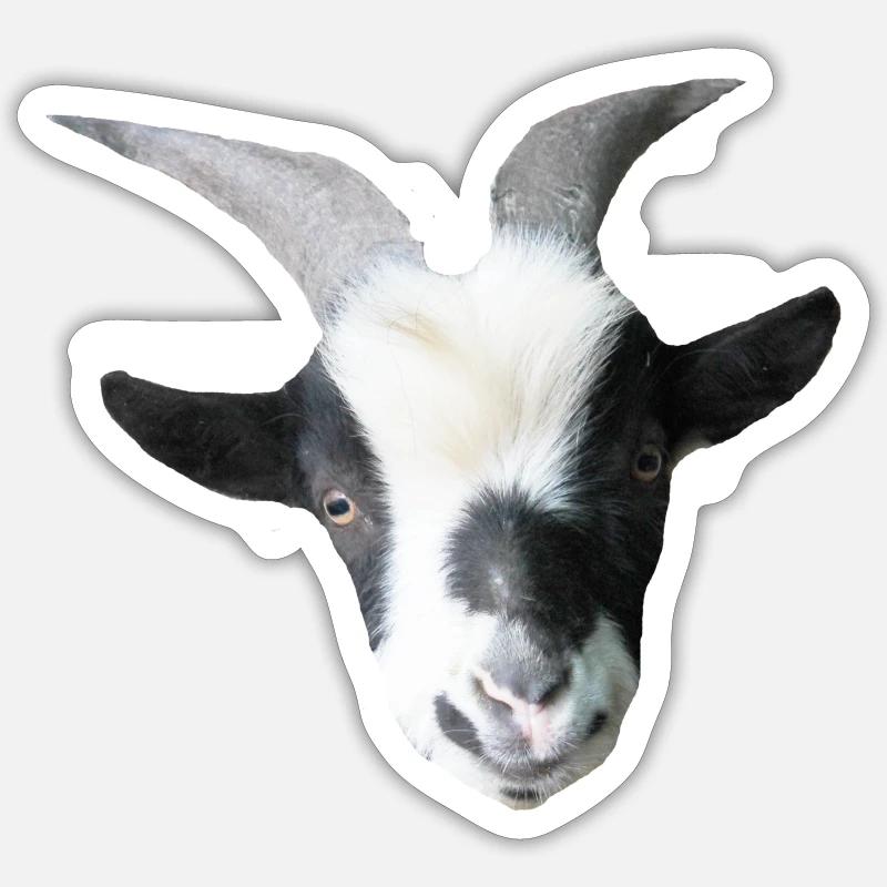 Robin der Ziegenbock - Sticker Größe S (10 x 10 cm) - Mattweiß