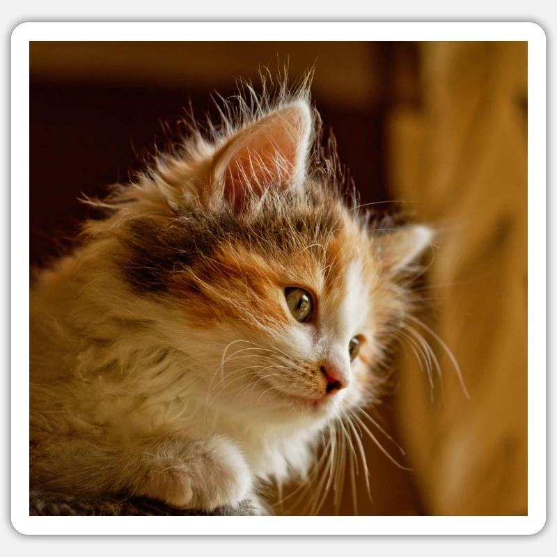 chat masque de chat masque de chat masque de chat Sticker taille S (10 x 10 cm)