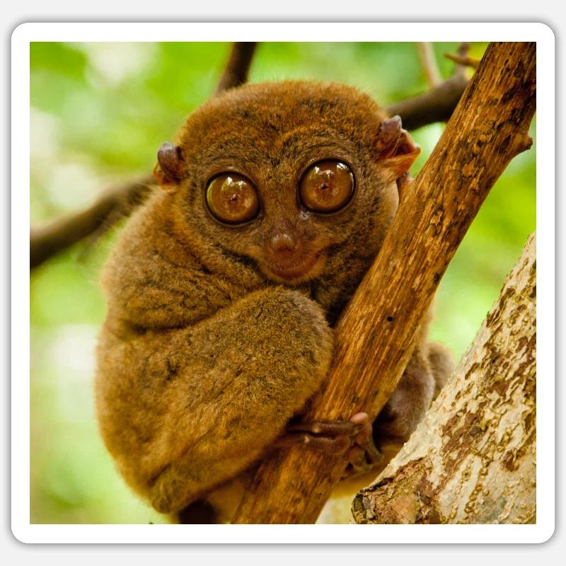 Affe Maske mask Monkey Mask - Sticker Größe S (10 x 10 cm) - Mattweiß