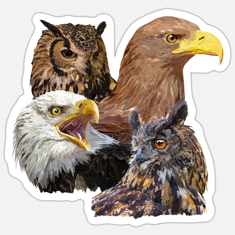 Rapaces Sticker taille S (10 x 10 cm)