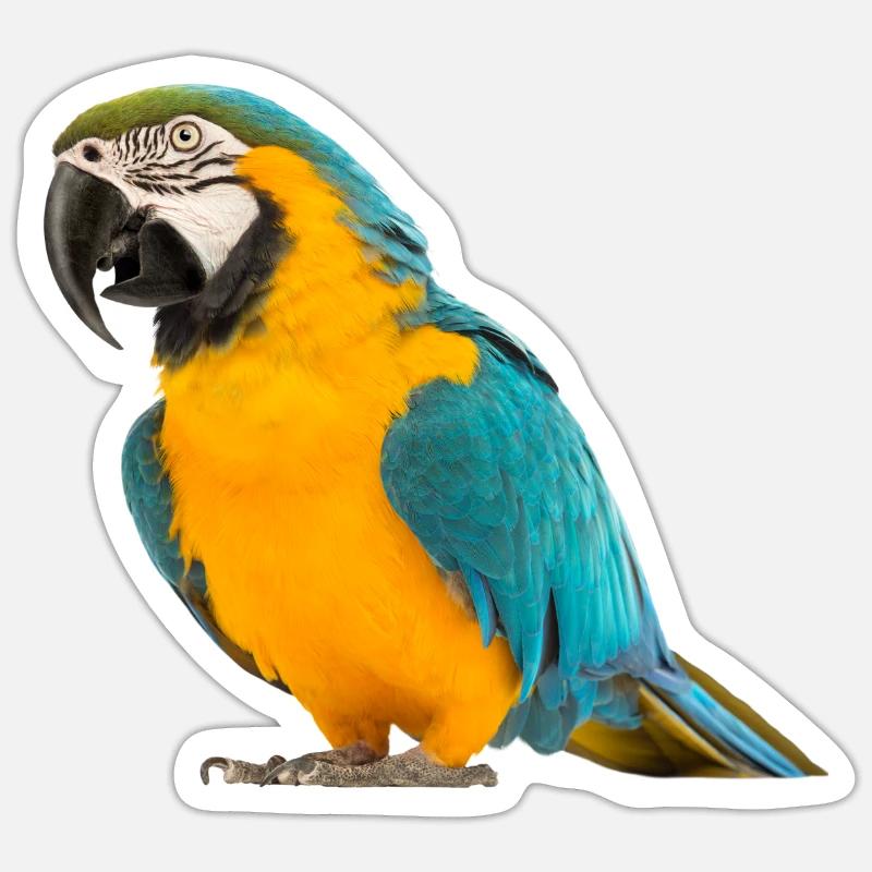 Perroquets colorés Sticker taille S (10 x 10 cm)