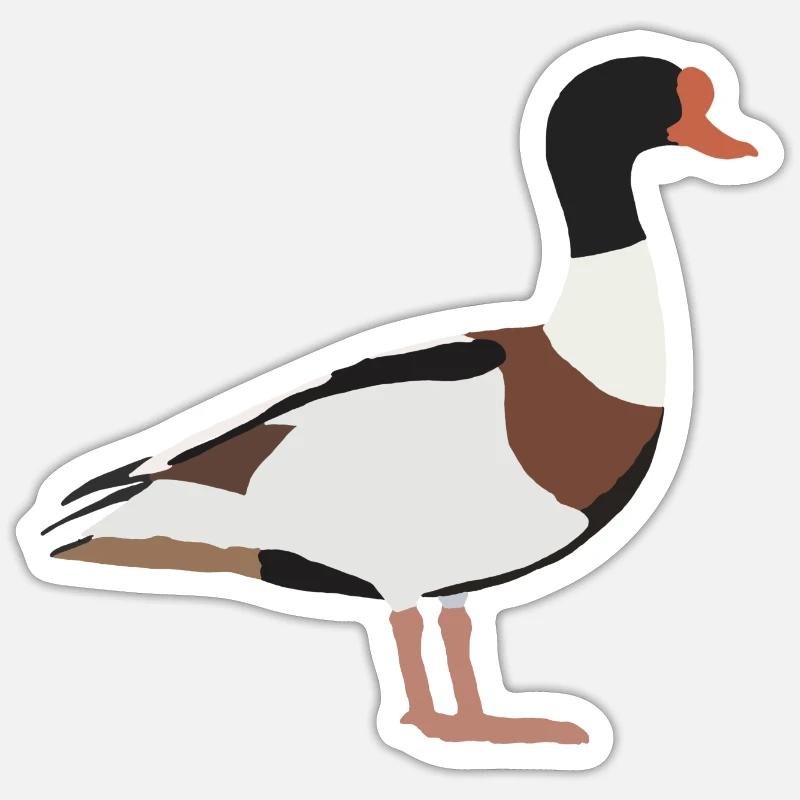 common shelduck - Sticker size S (10 x 10 cm) - white matte