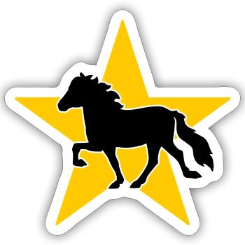 Icelandic Horse/Star - Sticker size S (10 x 10 cm) - white matte - Front