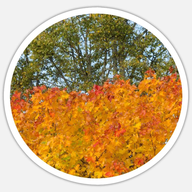 Herbst - Sticker Größe S (10 x 10 cm) - Mattweiß