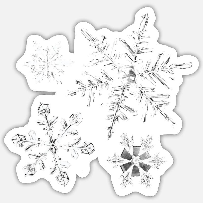winter - Sticker size S (10 x 10 cm) - white matte