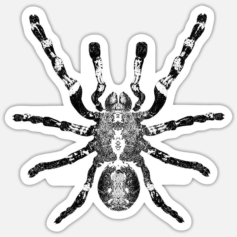 Araignée, arachnide - Sticker taille S (10 x 10 cm) - blanc mat