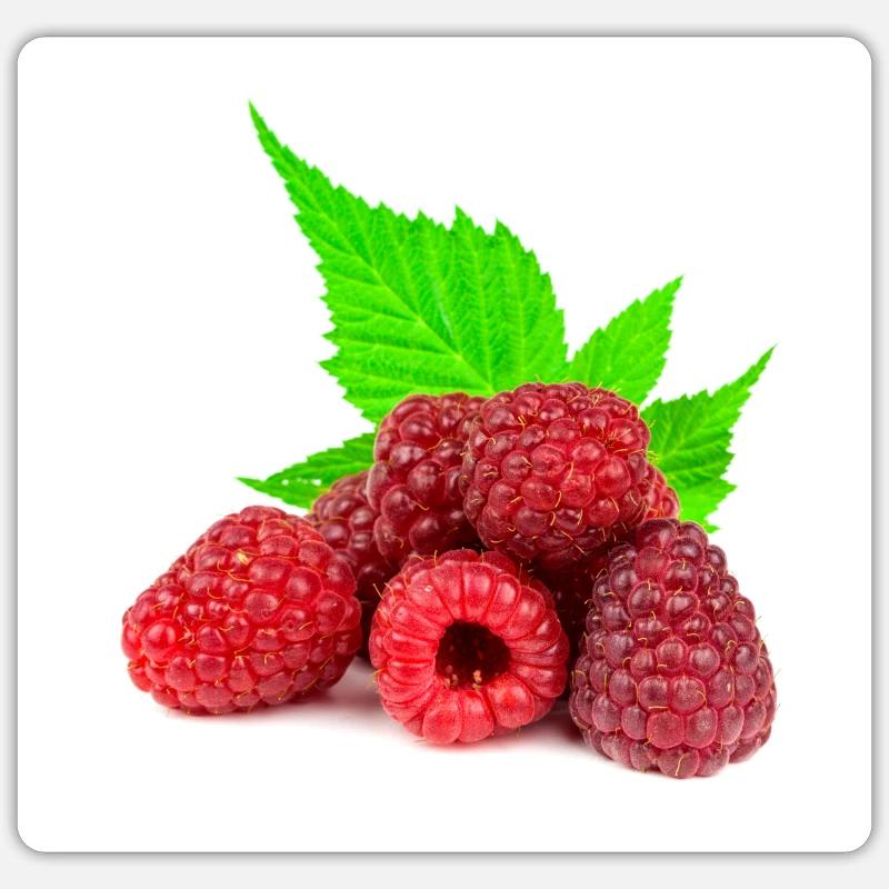 Himbeere. raspberry Sticker Größe S (10 x 10 cm)