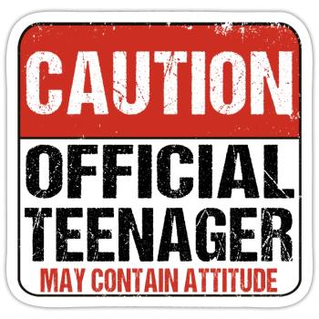 Caution Official May contain Attitude 13 years old - Sticker size S (10 x 10 cm) - white matte - Front