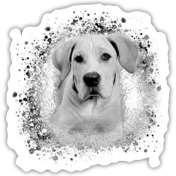 cane corsocane corso,dog,painting,graffiti,bulldog - Sticker size S (10 x 10 cm) - white matte - Front