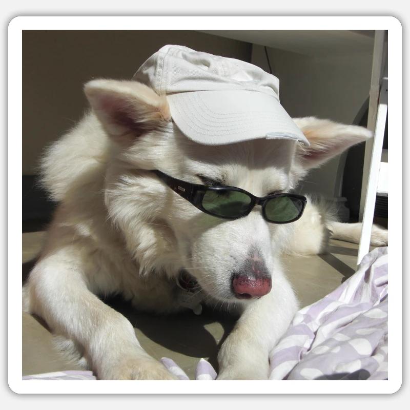 Cohen very cool - Sticker size S (10 x 10 cm) - white matte