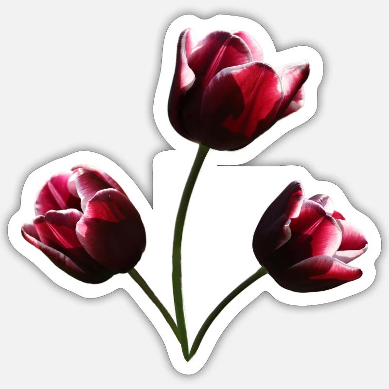 Tulipes bordeaux tulipe - Sticker taille S (10 x 10 cm) - blanc mat